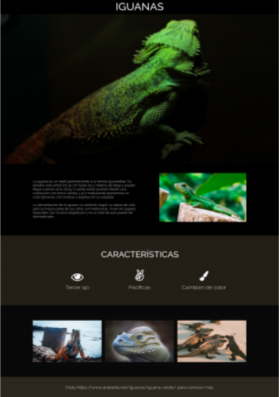 Iguana Page